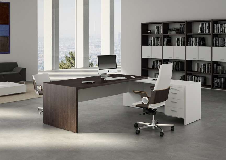 Executive Office Options for Ergonomics