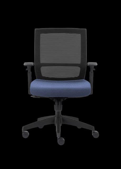 Product 43301