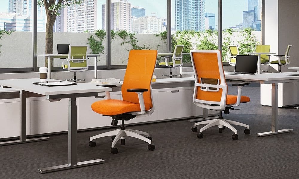 Product 46781