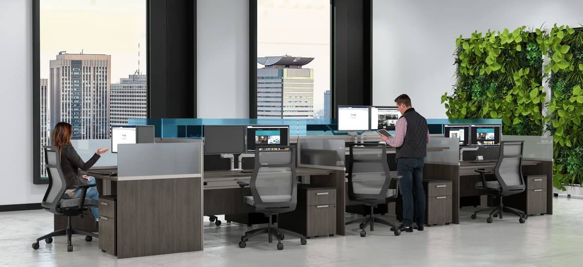 Product 51872
