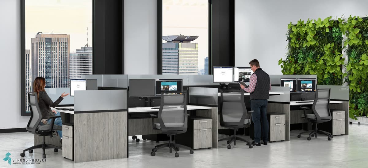 Product 51901