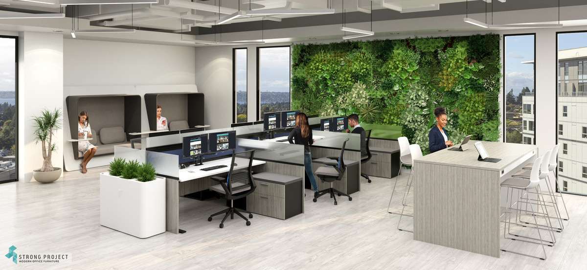 incorporating plants into modern office design
